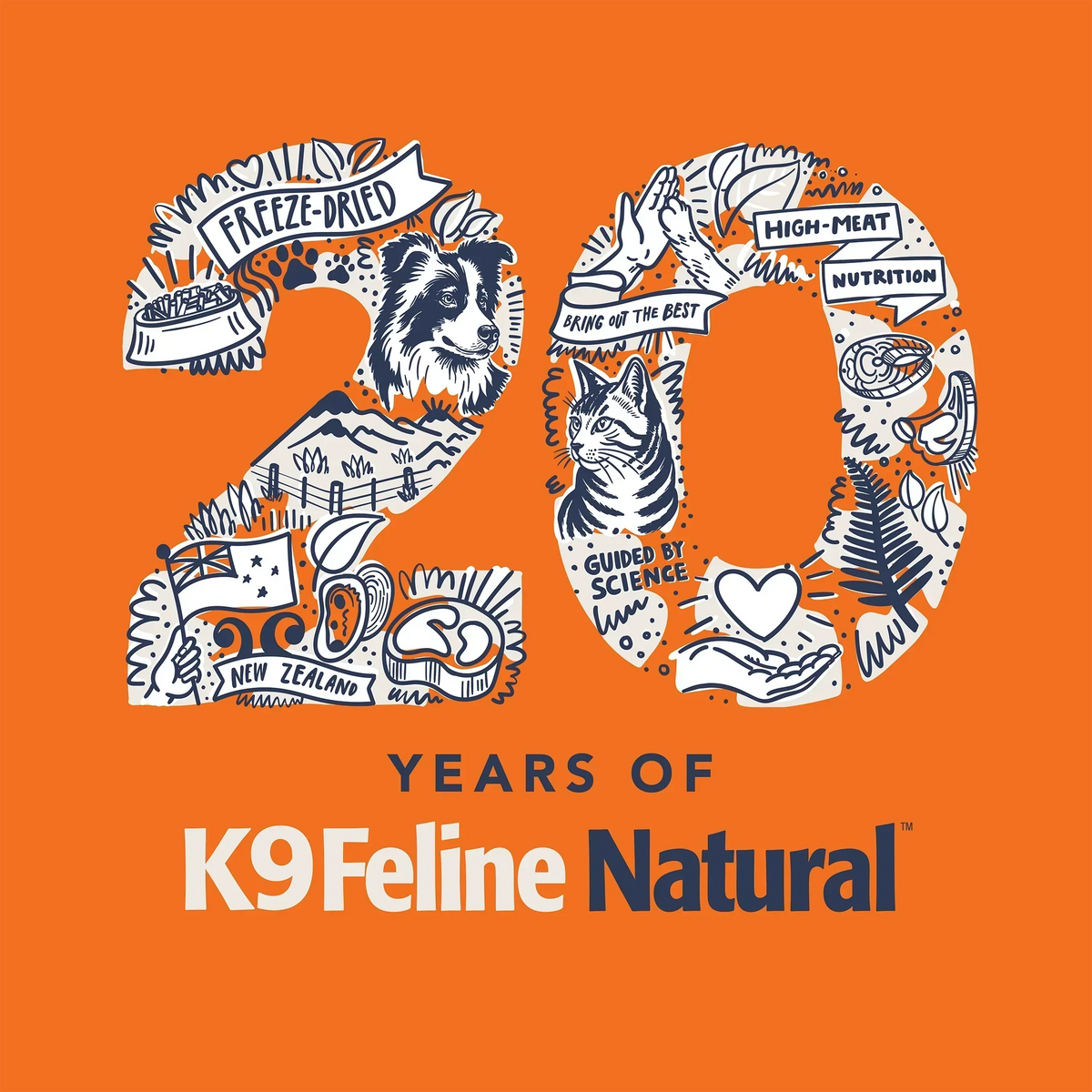 20 Years of Bringing Out The Best