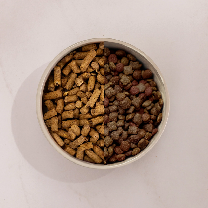Lamb Feast Freeze-Dried Dog Food Lamb Feast Freeze-Dried Dog Food
